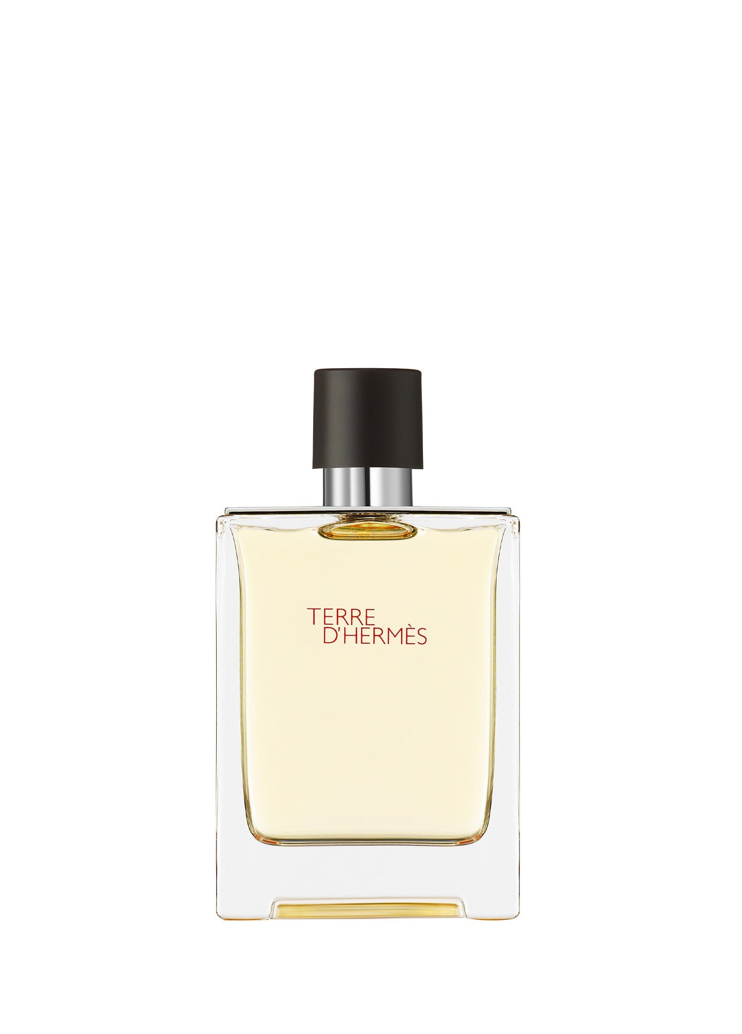 Hermes Terre d'Hermes Eau de Toilette 100ml