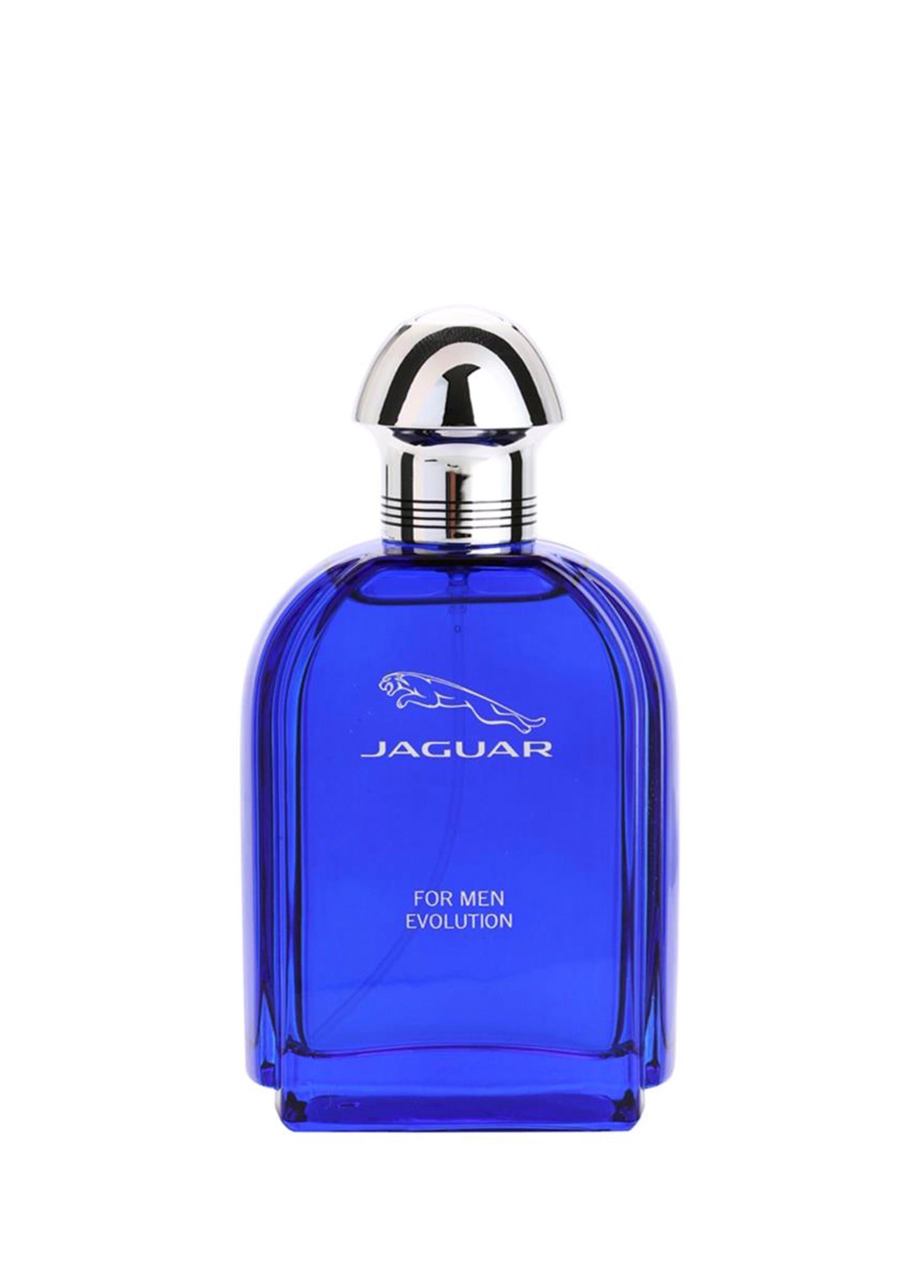 Jaguar For Men Evolution EDT 100 ml Erkek Parfüm