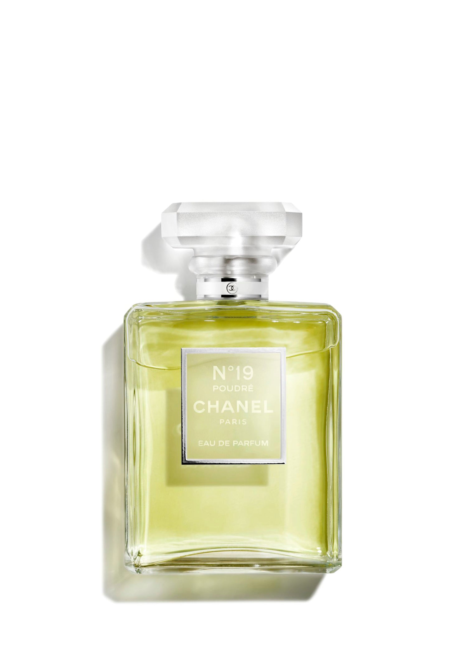 CHANEL N°19 Poudre Eau De Parfüm Spray 100 ml