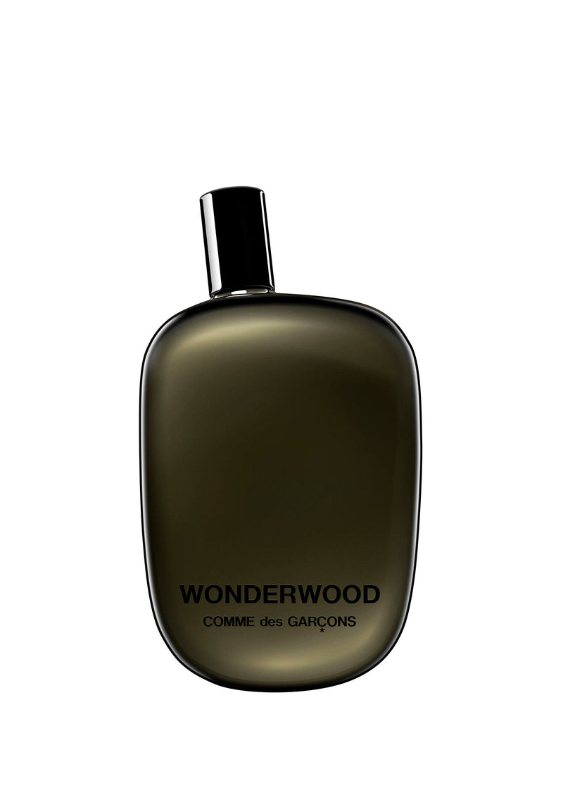 Comme des Garcons Wonderwood EDP 100 ml Parfüm
