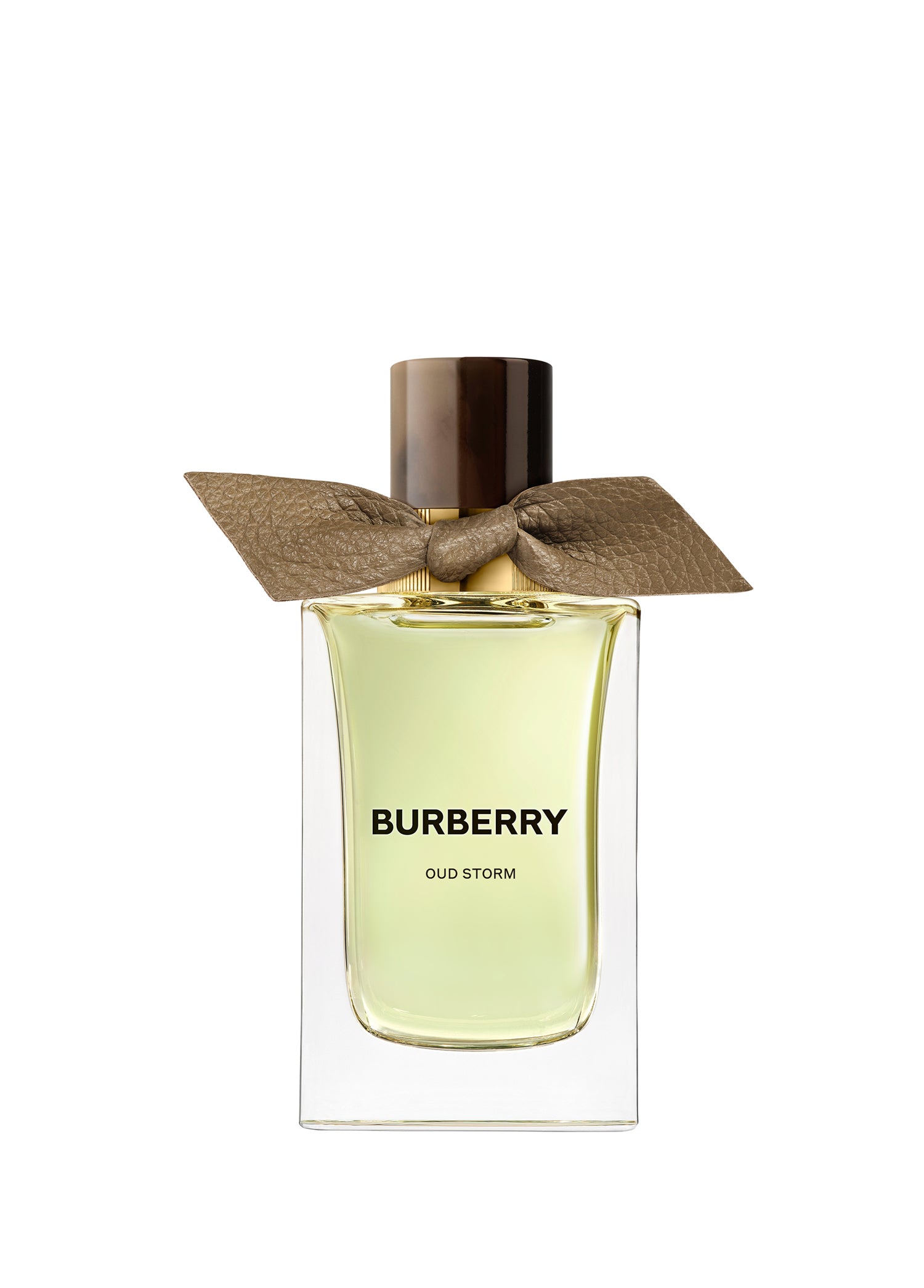 Burberry Sigrnatures Collection EDP Oud Storm 100 ml Parfüm
